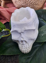 Load image into Gallery viewer, Skull
