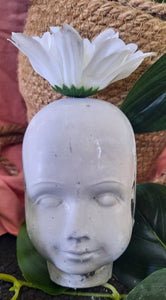 Face