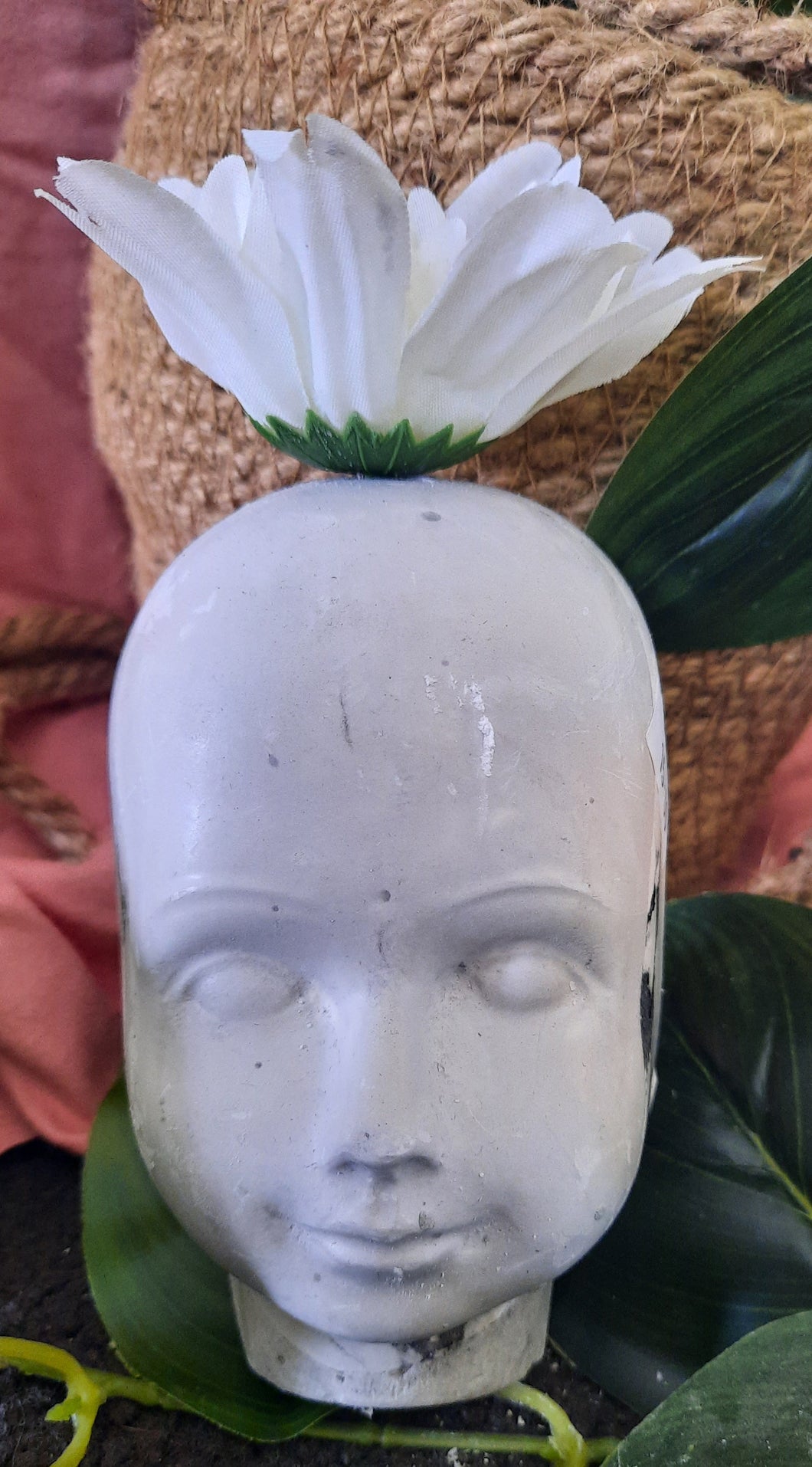 Face
