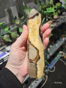 Septarian Tower