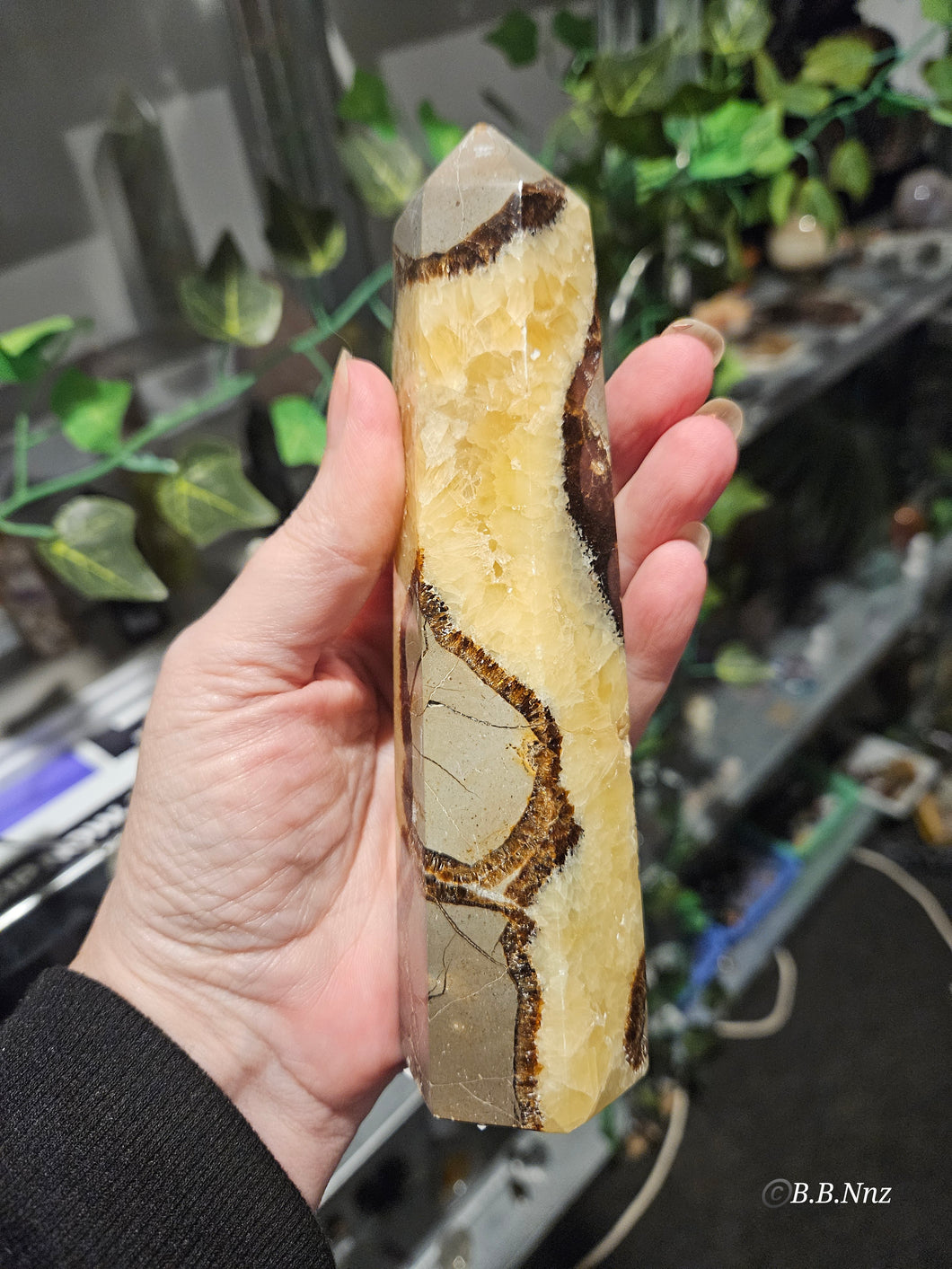 Septarian Tower
