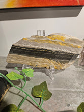 Load image into Gallery viewer, Bumblebee Jasper
