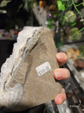 Load image into Gallery viewer, Large Amethyst Cluster

